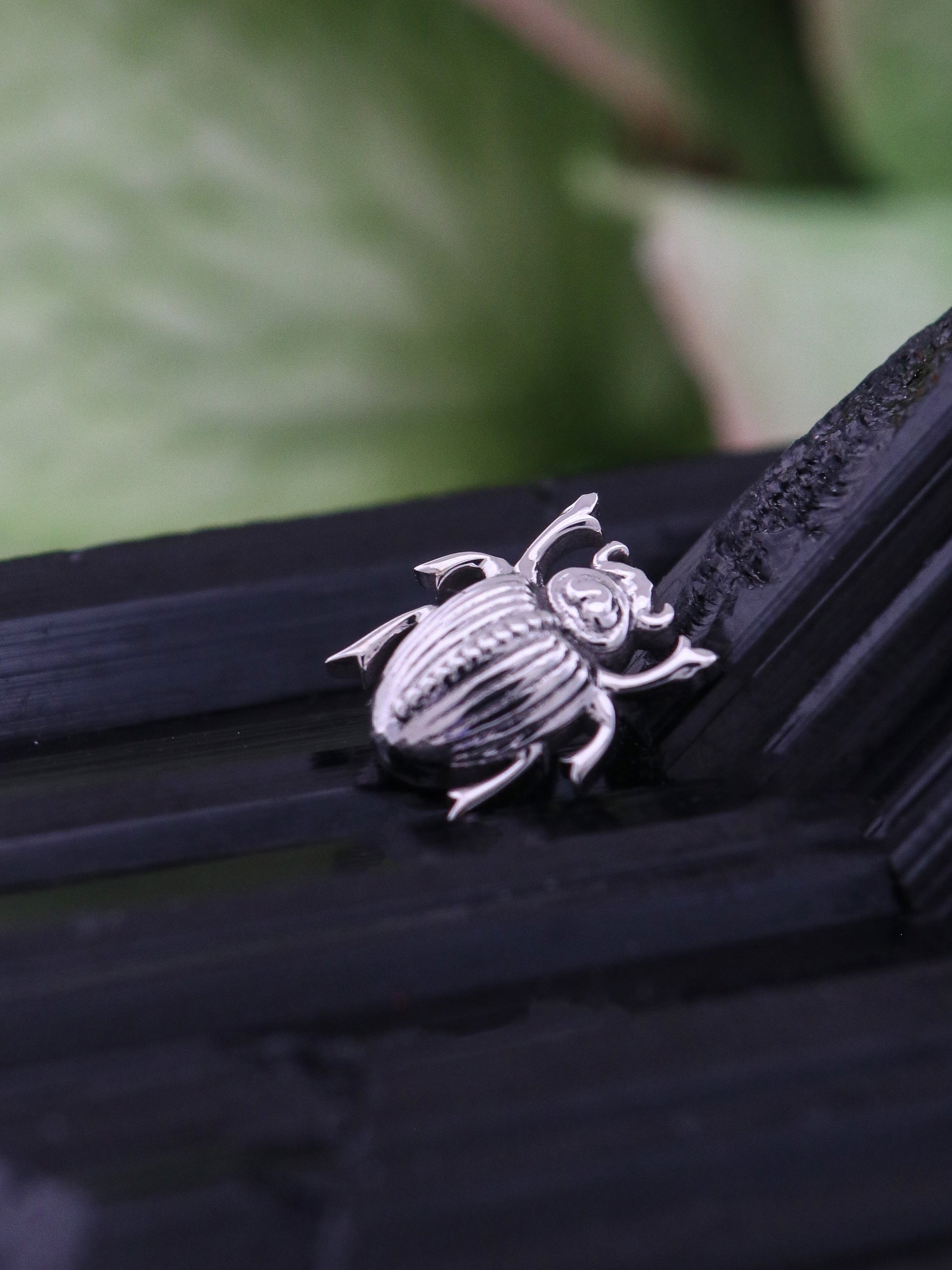 Scarab Beetle Threaded End, photo 1 of 3