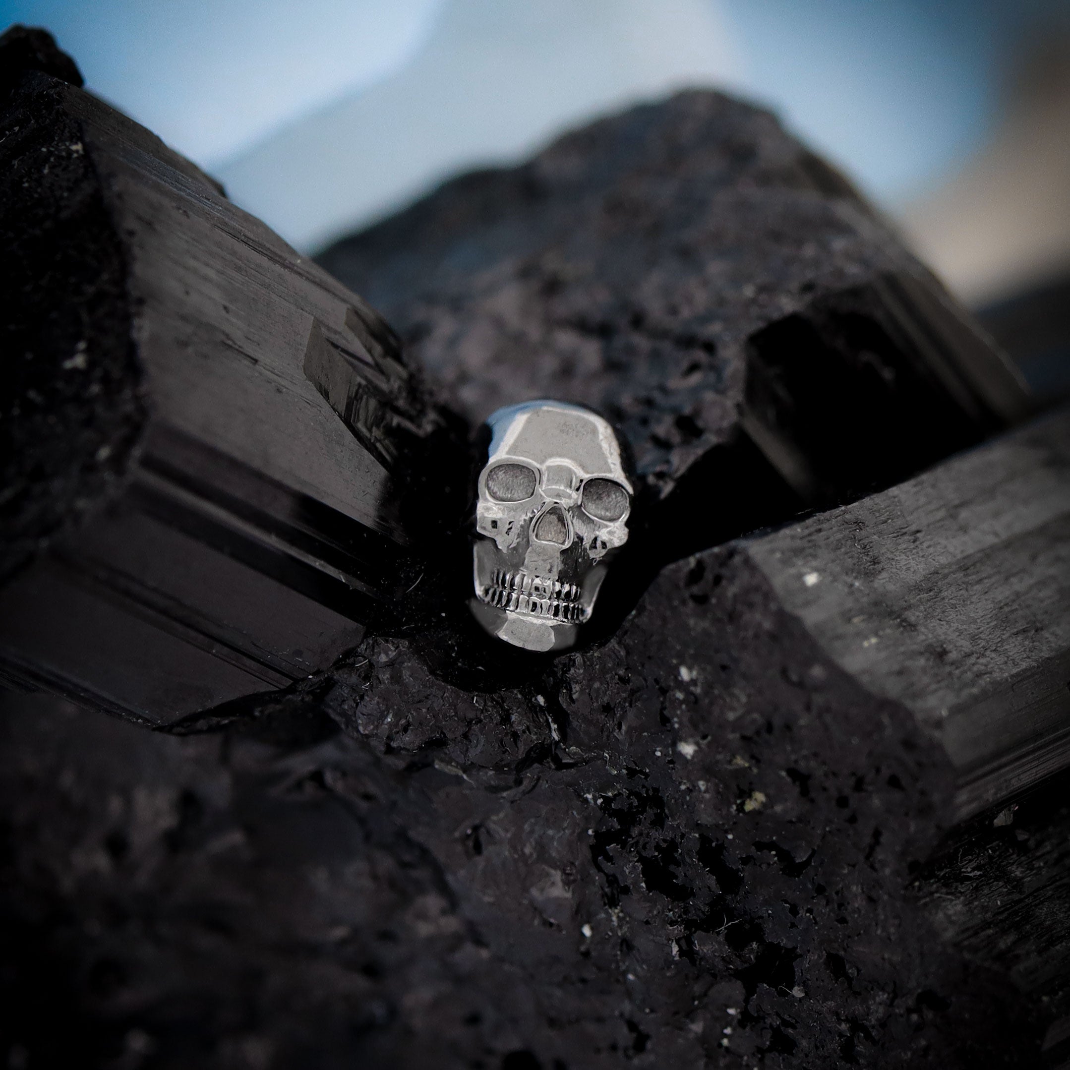Skull Threaded End, photo 4 of 4