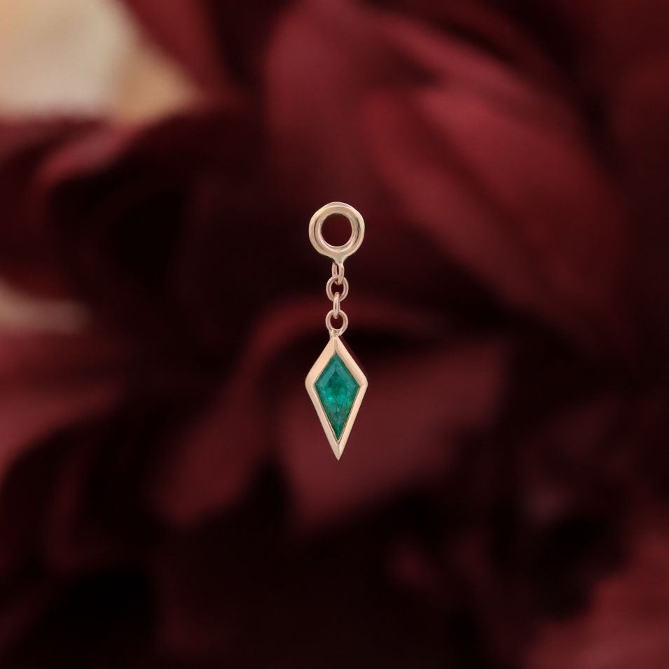 Pan Charm, photo 3 of 8