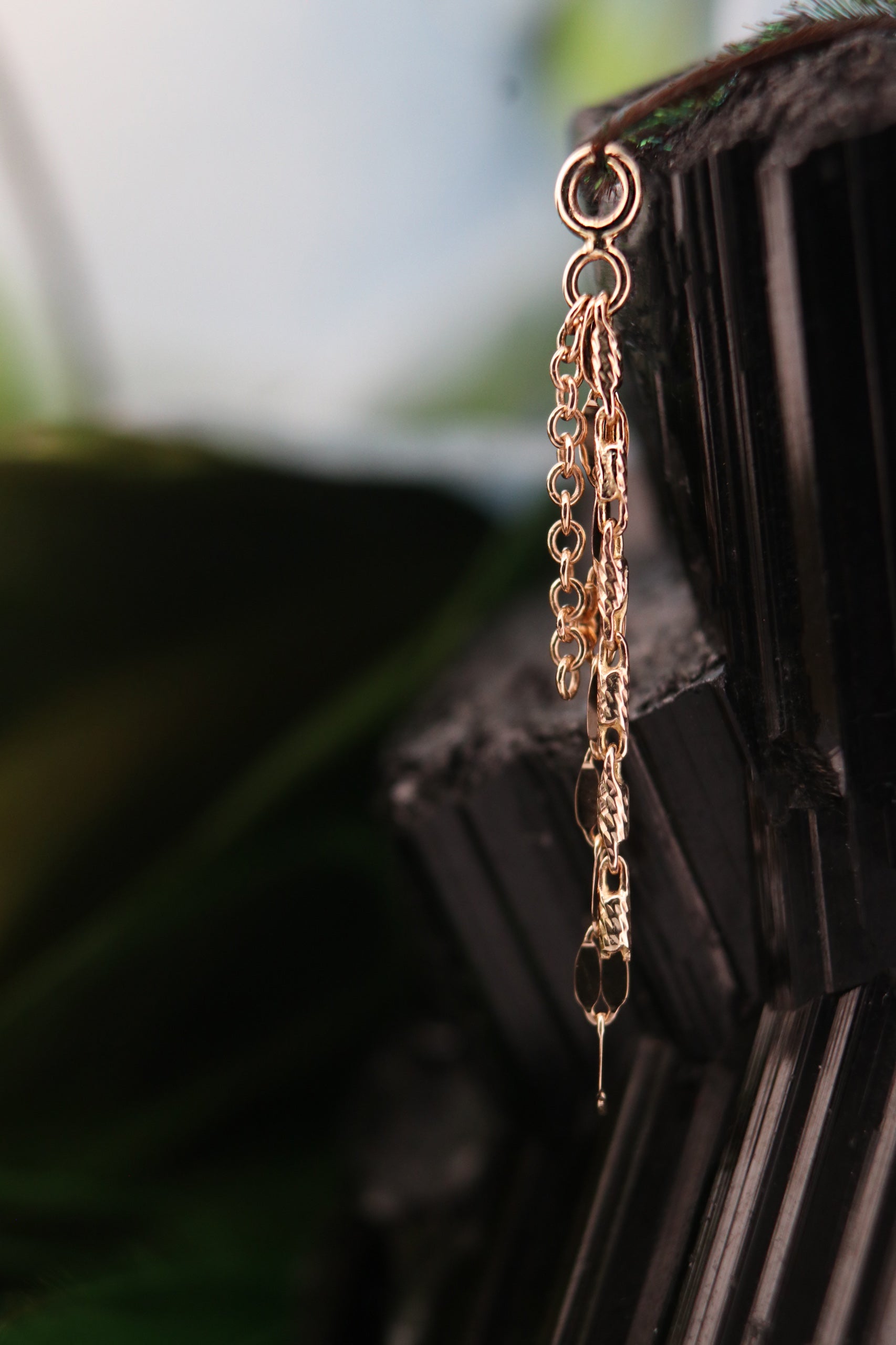 Cosmos Charm, photo 2 of 5